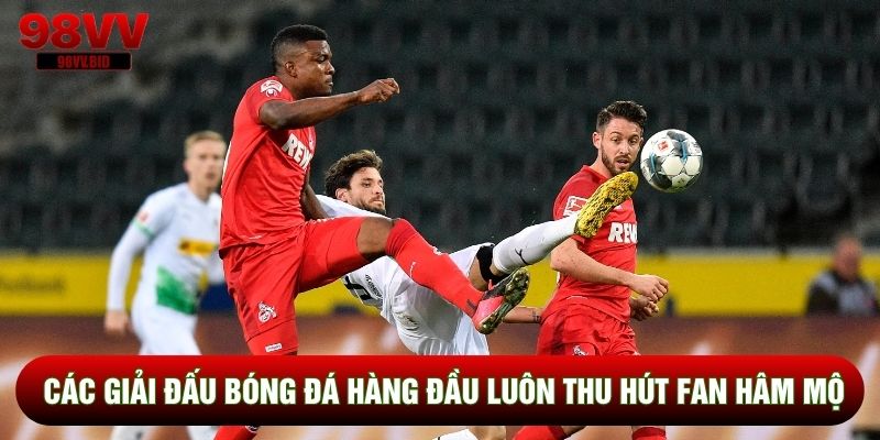 Các giải đấu bóng đá hàng đầu luôn thu hút fan hâm mộ
