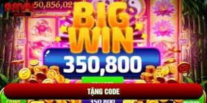 Tặng Code | Săn Quà Khởi Nghiệp Và Cơ Hội Làm Giàu
